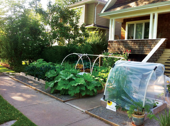 Front-yard gardens and backyard chickens create true food security and a sense of accomplishment.